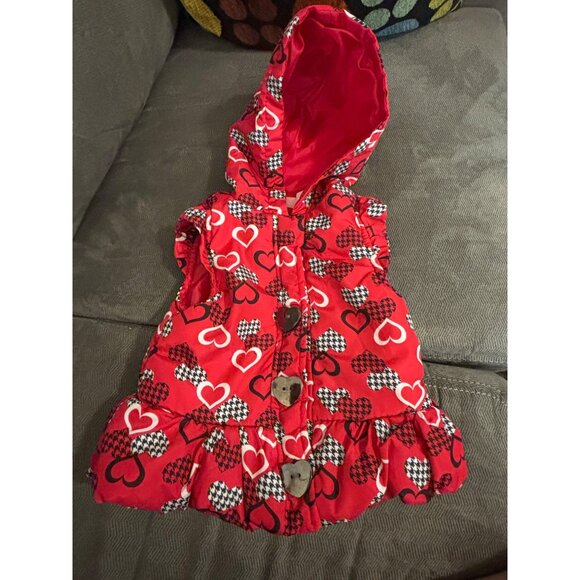 Bundle Of 10 Baby Girl Clothes Carters Bodysuits Sweaters Dresses Sizes 12M - Picture 5 of 8